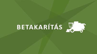 Betakarítás