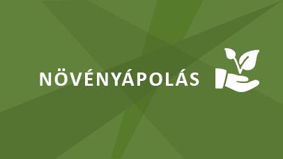 Növényápolás