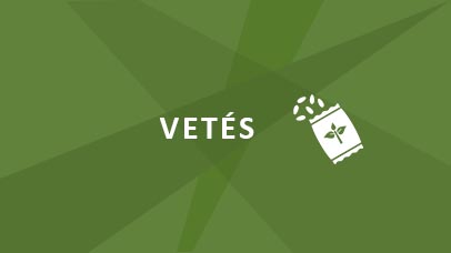Vetés